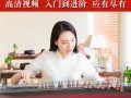 乐器教学电子视频教程 (1)